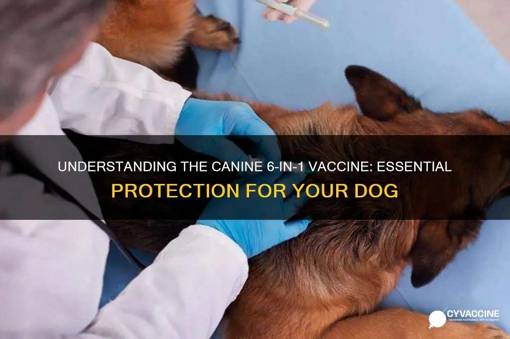 what is a canine 6 in 1 vaccine