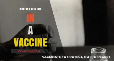 Understanding Cell Lines: Their Role in Vaccine Development and Safety