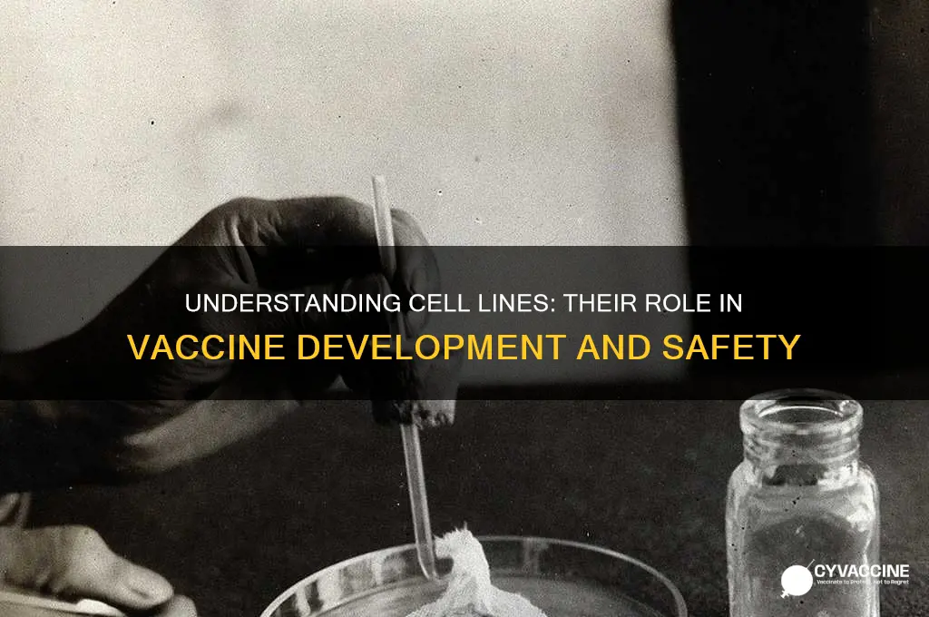 what is a cell line in a vaccine