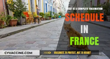 Understanding France's Comprehensive Vaccination Schedule: A Complete Guide