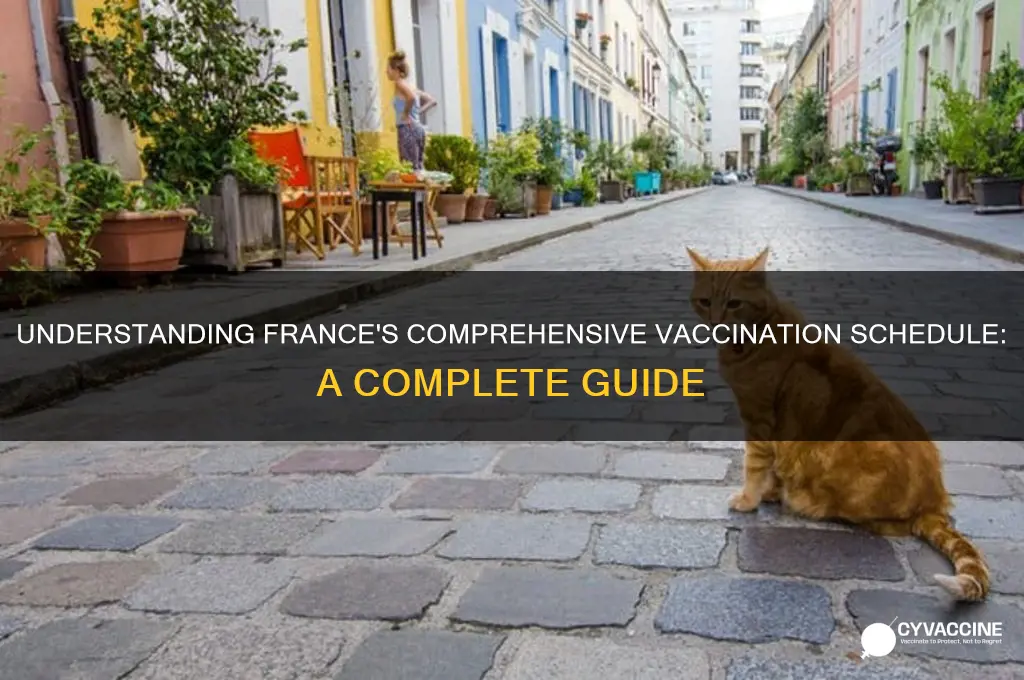 what is a complete vaccination schedule in france