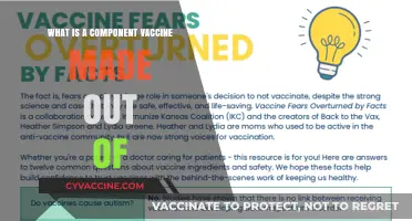 Understanding Component Vaccines: Key Ingredients and Their Roles Explained