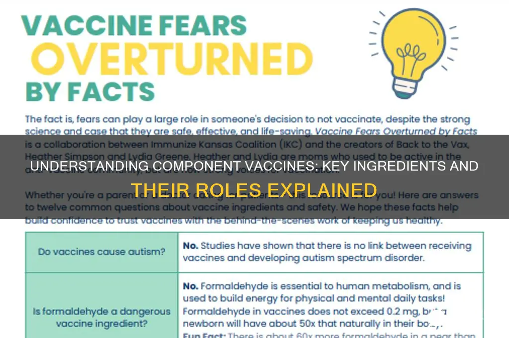 what is a component vaccine made out of