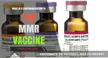 Understanding Contraindications: Who Should Avoid the MMR Vaccine?
