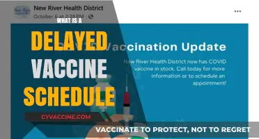 Delayed Vaccine Schedule: Understanding Alternative Immunization Timelines for Children