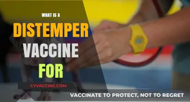 Understanding Distemper Vaccines: Essential Protection for Your Pet's Health
