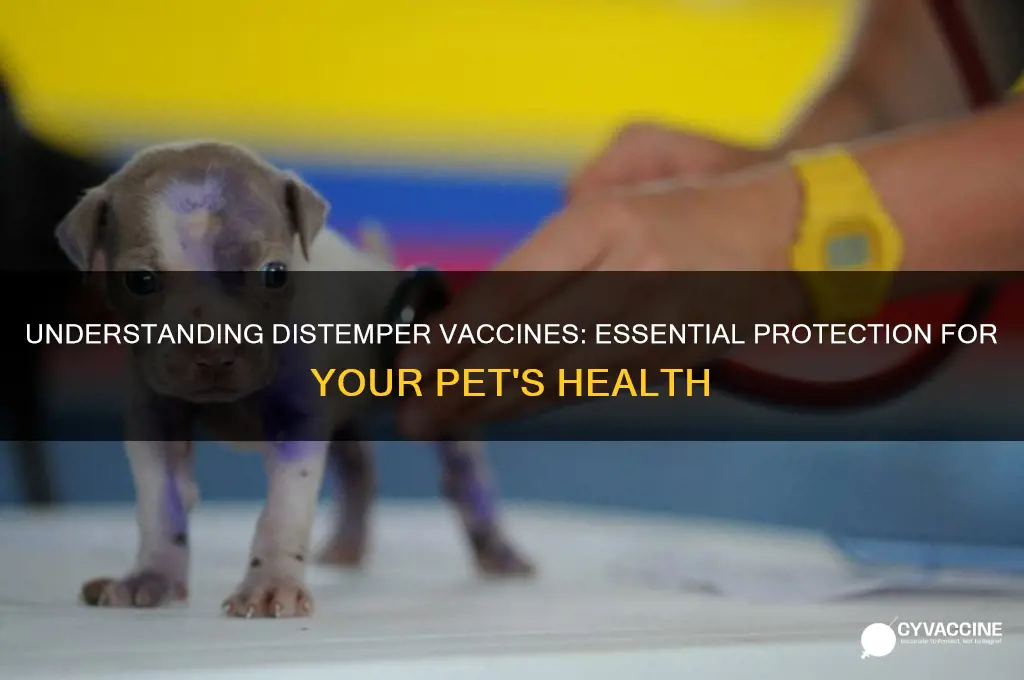what is a distemper vaccine for