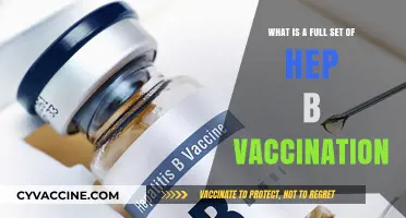 Understanding Hepatitis B: A Complete Guide to Full Vaccination