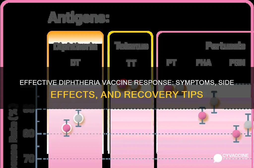 what is a good response to diphtheria vaccine