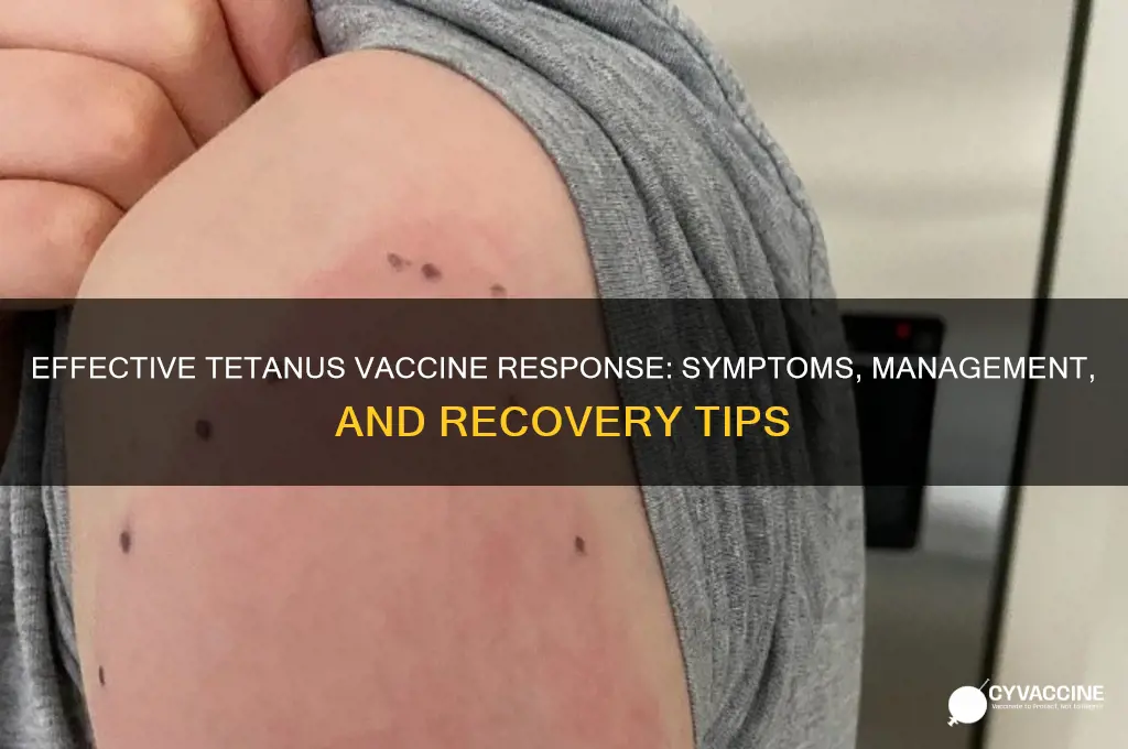 what is a good response to tetanus vaccine