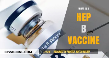 Understanding Hepatitis B: The Importance and Benefits of the Vaccine