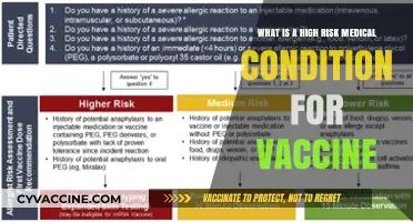 Understanding High-Risk Medical Conditions and Vaccine Safety Concerns