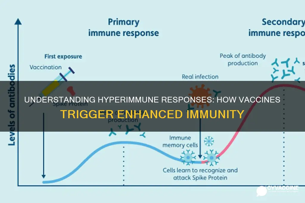 what is a hyperimmune response to a vaccine
