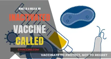 Understanding Killed or Inactivated Vaccines: Their Names and Functions