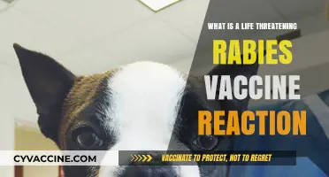 Rabies Vaccine Reaction: Recognizing Life-Threatening Symptoms and Emergency Response