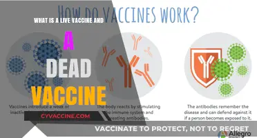 Live vs. Dead Vaccines: Understanding the Key Differences and Benefits
