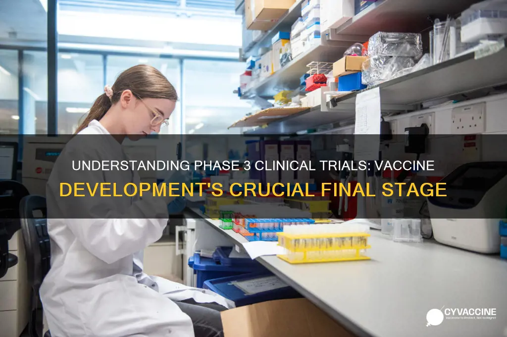 what is a phase 3 clinical trial for vaccines