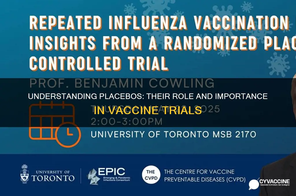 what is a placebo in a vaccine trial