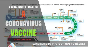 Realistic Timeline for Developing a Safe and Effective Coronavirus Vaccine