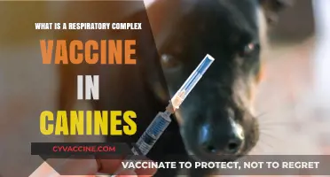 Understanding Canine Respiratory Complex Vaccines: Benefits and Importance