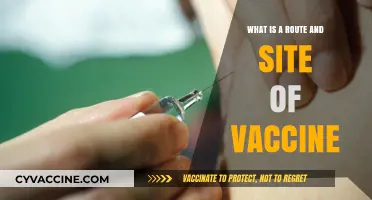 Understanding Vaccine Routes and Sites for Optimal Immunization