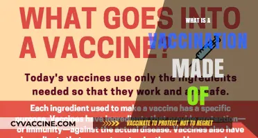 Understanding Vaccines: Key Components and Their Role in Immunity