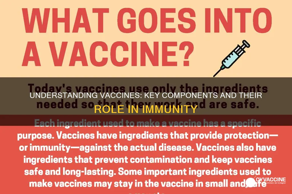 what is a vaccination made of