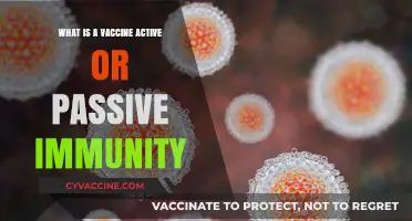 Understanding Vaccine Immunity: Active vs. Passive Protection Explained