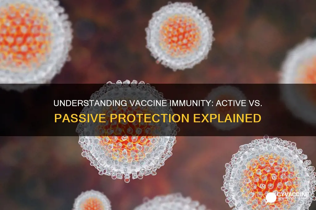 what is a vaccine active or passive immunity