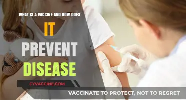 Understanding Vaccines: How They Work to Prevent Diseases Effectively