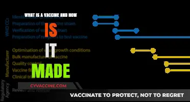 Understanding Vaccines: Creation Process and Their Role in Immunity