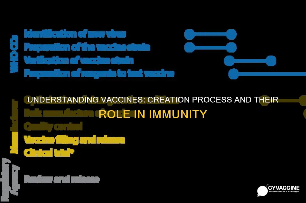 what is a vaccine and how is it made