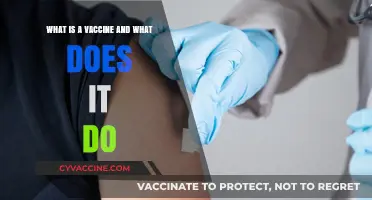 Understanding Vaccines: How They Work and Protect Our Health