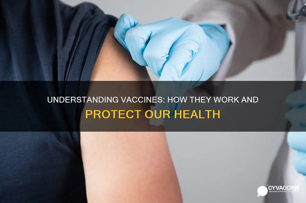 what is a vaccine and what does it do