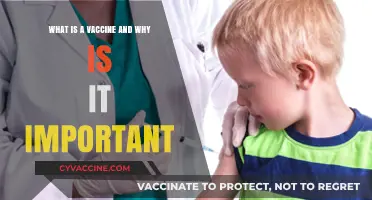 Understanding Vaccines: Their Role and Importance in Public Health