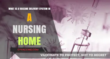 Efficient Vaccine Delivery Systems in Nursing Homes: Ensuring Resident Safety