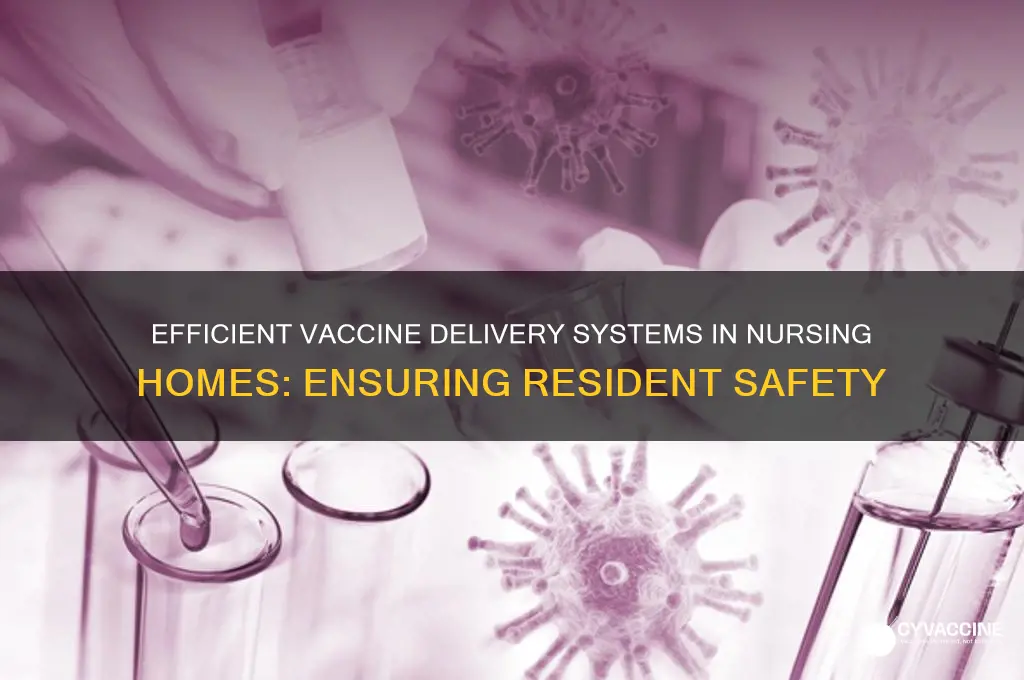 what is a vaccine delivery system in a nursing home