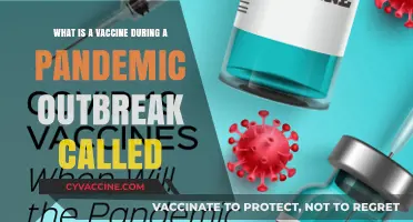 Pandemic Vaccines: Understanding Their Role and Emergency Use
