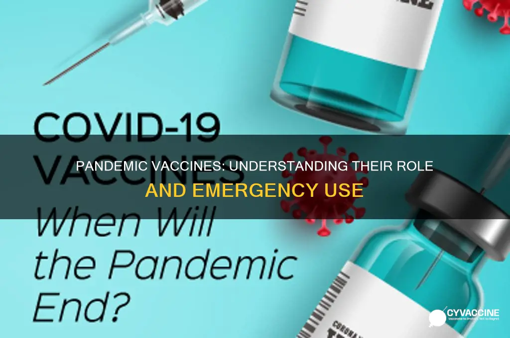 what is a vaccine during a pandemic outbreak called