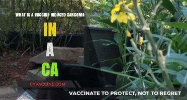 Understanding Vaccine-Induced Sarcoma in Cats: Causes, Symptoms, and Treatment