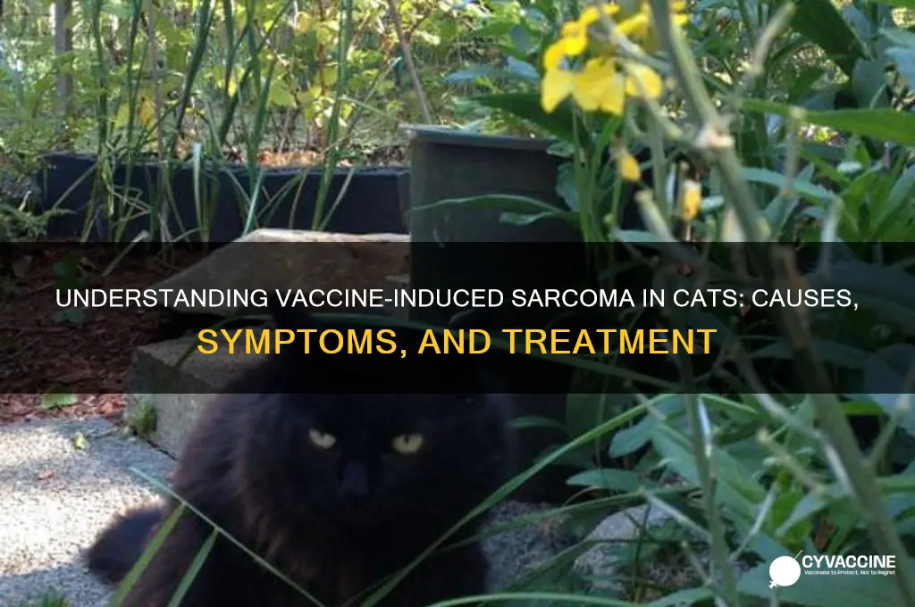 what is a vaccine induced sarcoma in a ca