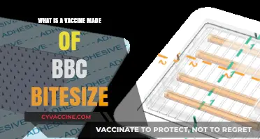 Understanding Vaccines: Key Components Explained Simply BBC Bitesize