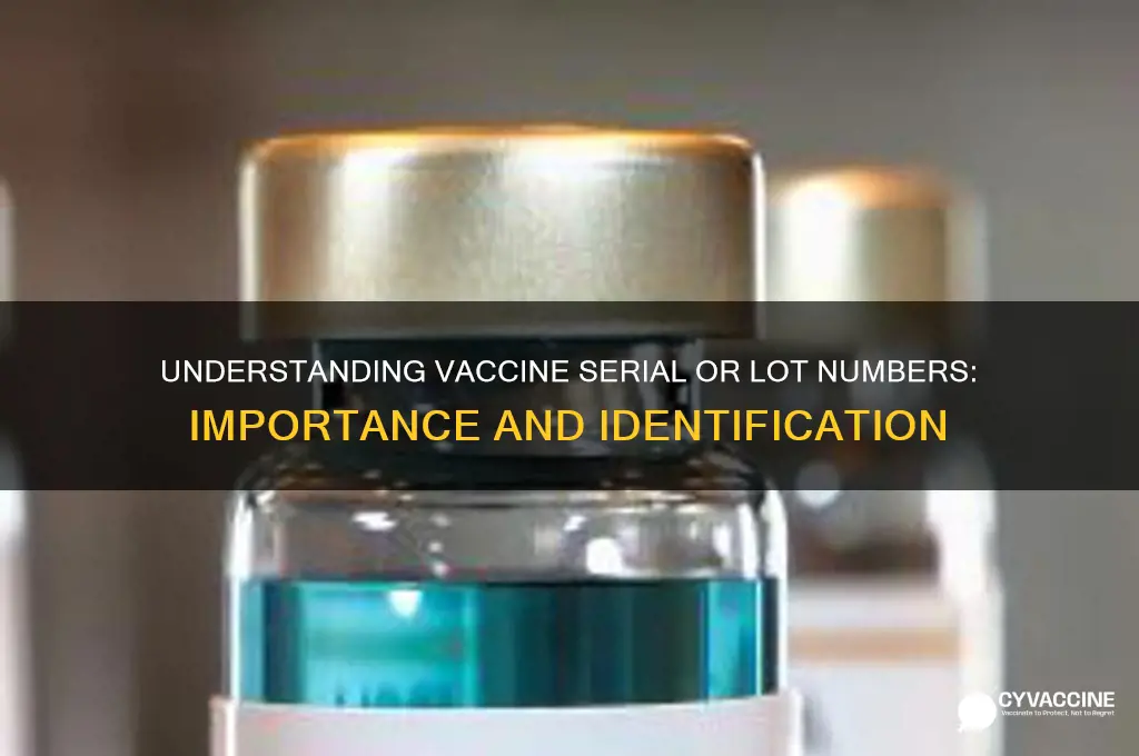 what is a vaccine serial or lot number