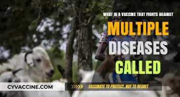 Understanding Multivalent Vaccines: Combating Multiple Diseases with One Shot