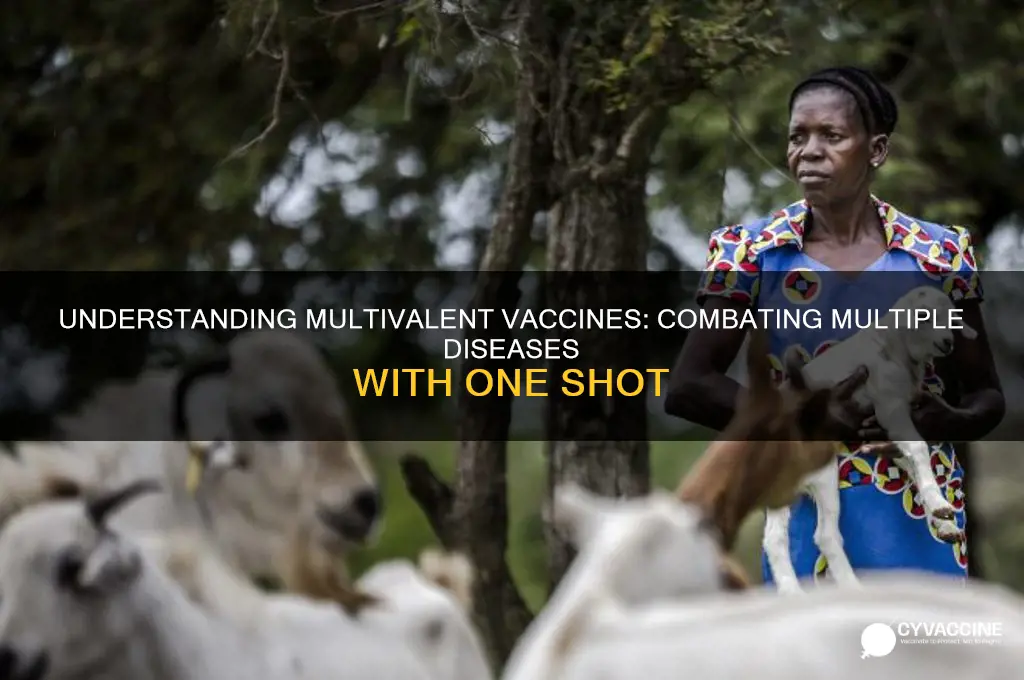 what is a vaccine that fights against multiple diseases called