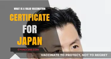 Understanding Japan's Valid Vaccination Certificate Requirements for Travelers