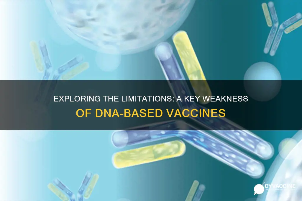 what is a weakness of dna-based vaccines