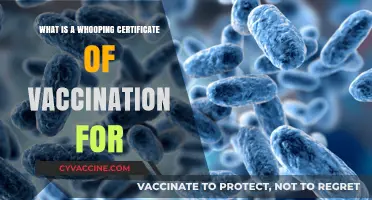 Understanding Whooping Cough Vaccination Certificates: Purpose and Importance