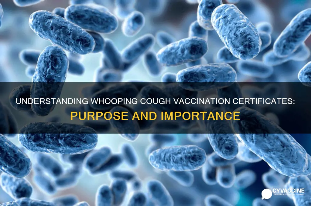 what is a whooping certificate of vaccination for
