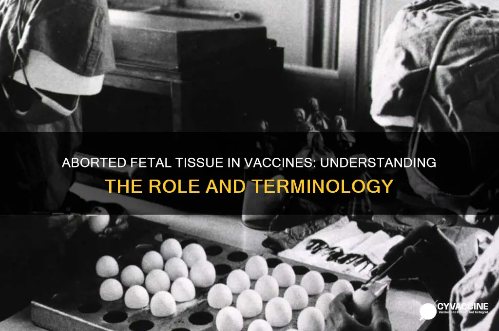 what is aborted fetal tissue called in vaccines